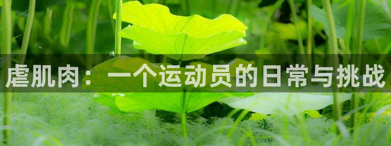 虐肌肉：一个运动员的日常与挑战
